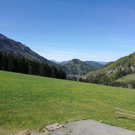 Bio Bauernhof Moas Βίλα Lunz am See Εξωτερικό φωτογραφία