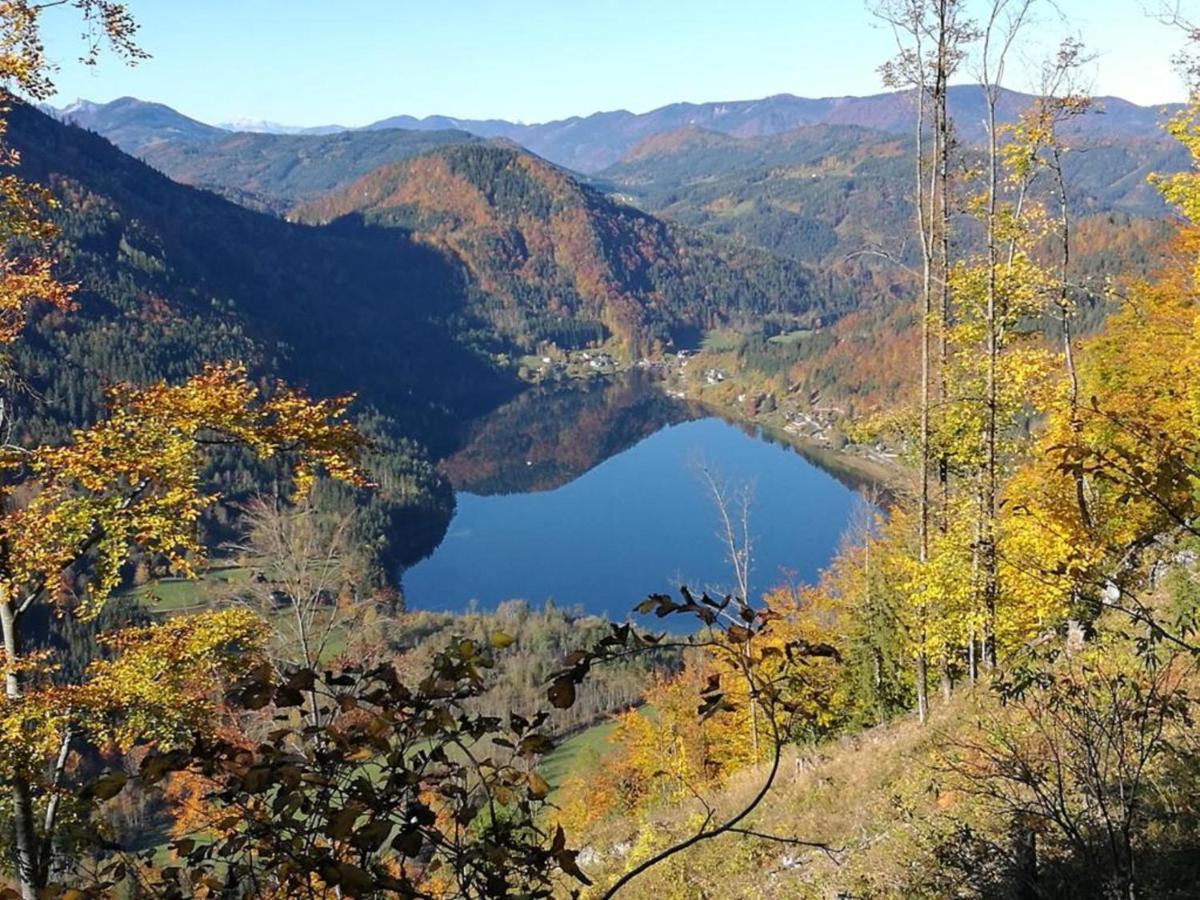 Bio Bauernhof Moas Βίλα Lunz am See Εξωτερικό φωτογραφία